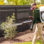 Termite Inspection Penrith