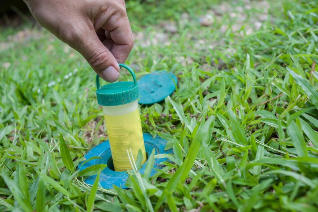 Termite Inspection Penrith